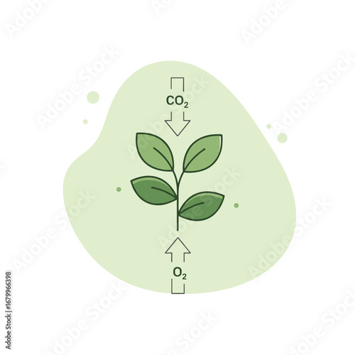 Photosynthesis process diagram with a green plant absorbing carbon dioxide and releasing oxygen. Clean air and ecology concept vector illustration.