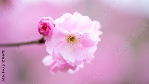 Generated File August 16, 2025 - 5_06PM