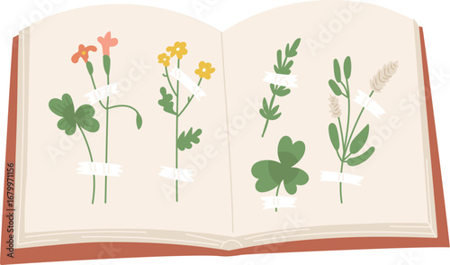 Herbarium Book with Pressed Plants