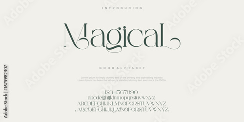 Magical Fashion font alphabet. Minimal modern urban fonts for logo, brand etc. Typography typeface uppercase lowercase and number. vector illustration