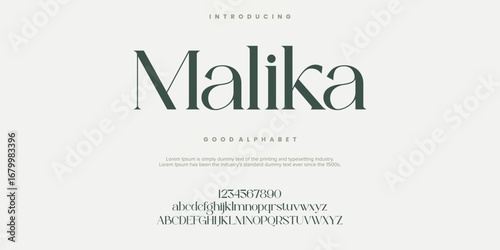 Malika Fashion font alphabet. Minimal modern urban fonts for logo, brand etc. Typography typeface uppercase lowercase and number. vector illustration