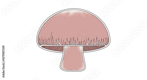 Illustration of a brown mushroom with a cap, stem, and gills.
