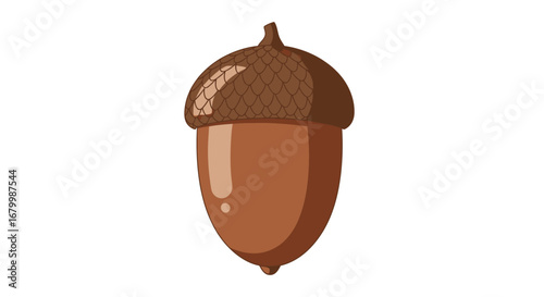 Illustration of a single brown acorn with a textured cap on a white background.