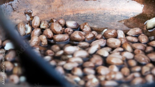 Copper Pan With Peanuts, Street Food Stall, Buenos Aires, Argentina - 4K