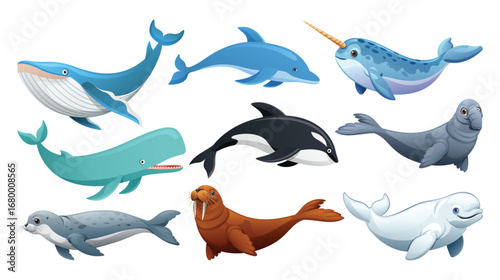 Collection of various marine mammals and sea creatures including a whale, dolphin, and seal. Vector cartoon illustration
