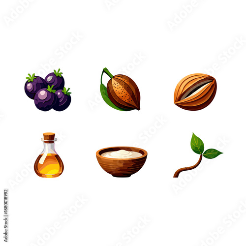 Natural Ingredients for Health and Beauty Isolated on Transparent Background
