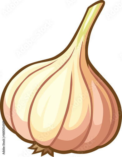 Single garlic bulb with clean and simple style, ideal for cooking, kitchen, healthy food, spices, organic farming, recipe ingredients, herbal medicine, and natural seasoning themes