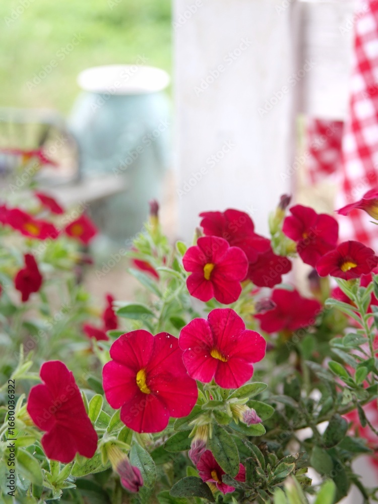 Fototapeta premium flowers in the garden