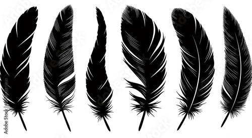 A collection of six detailed black bird feathers rendered in a vector graphic style, isolated on a clean white background for easy use.