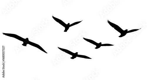 A graceful flock of black bird silhouettes soars freely across a clean white background, rendered as a versatile vector graphic.
