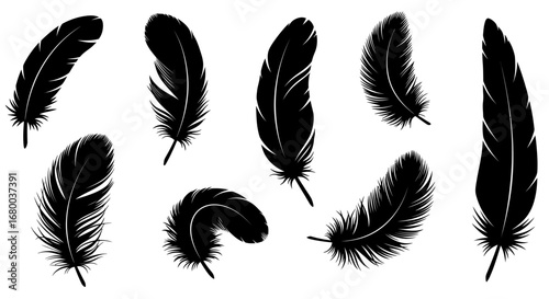 Collection of ten high-resolution vector PNG illustrations of black bird feathers, perfect for design projects needing a touch of elegance and nature.