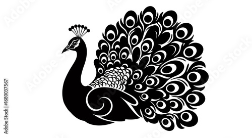Elegant vector illustration of a peacock, featuring its intricate plumage and graceful silhouette, perfect for design projects that need a touch of sophistication.