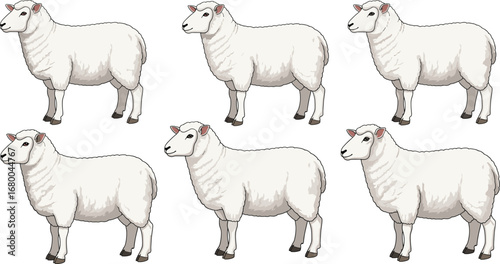 Sheep illustration, stylized farm animal, wool texture, livestock art, blue outline, cartoon sheep, cute drawing, side profile, stock vector, adorable sheep