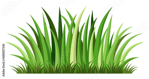 Lush clump of green grass border or bush element, featuring different shades of green blades. Clean, isolated vector illustration perfect for nature, lawn, garden, and environmental designs.