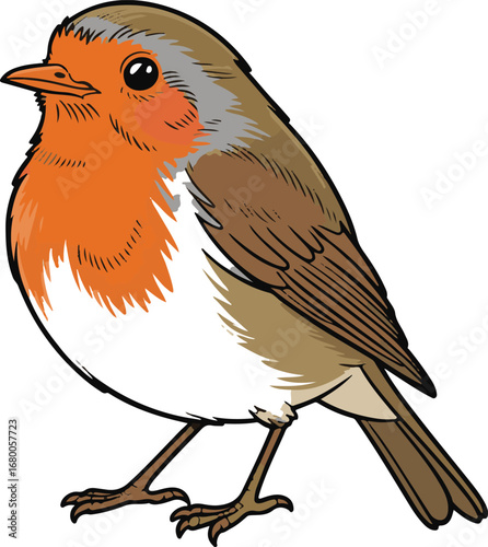 Cute Cartoon European Robin Vector Illustration with Orange Breast and Brown Wings