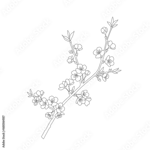 Grey Line Art Branch of Blossoms