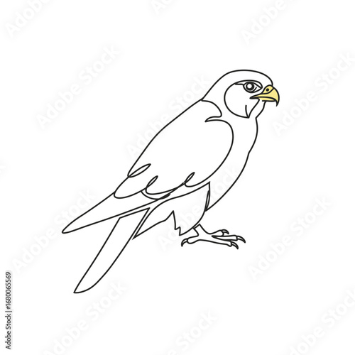 Line Art Drawing Of A Falcon Bird