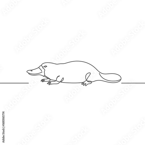 Line Art Drawing of a Platypus
