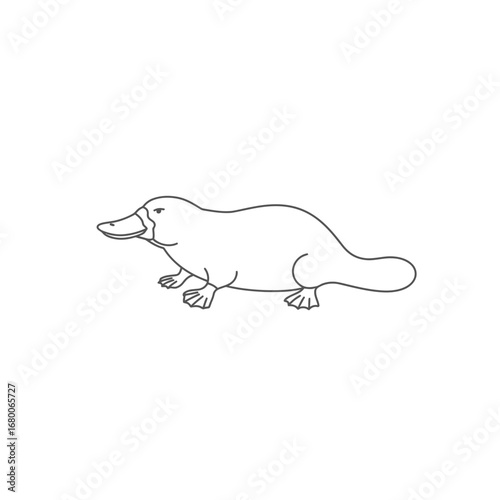 Line Art Drawing of a Platypus on White Background