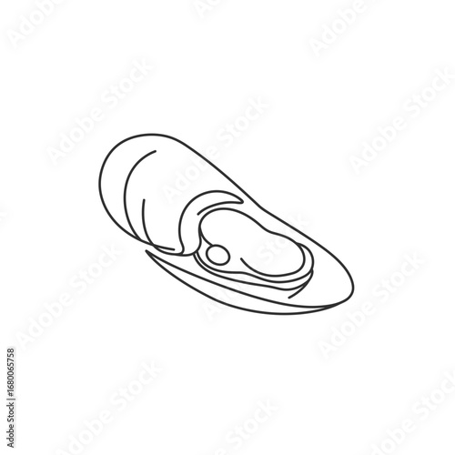 Line Art Drawing of a Single Mussel Shell