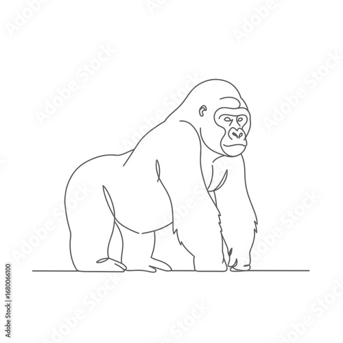 Line Art Illustration of a Gorilla