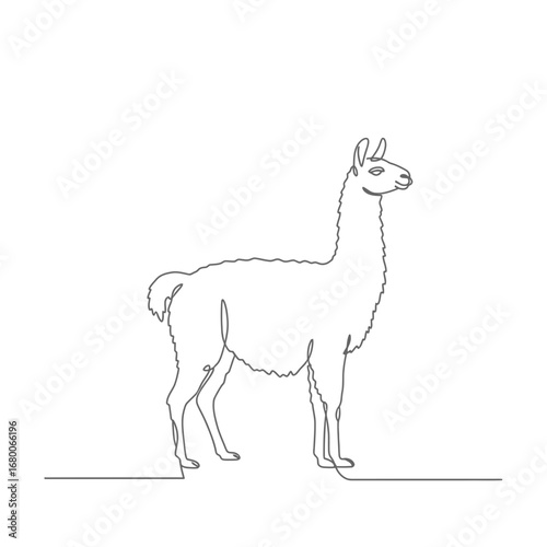 Line Art Illustration of a Llama on White Background