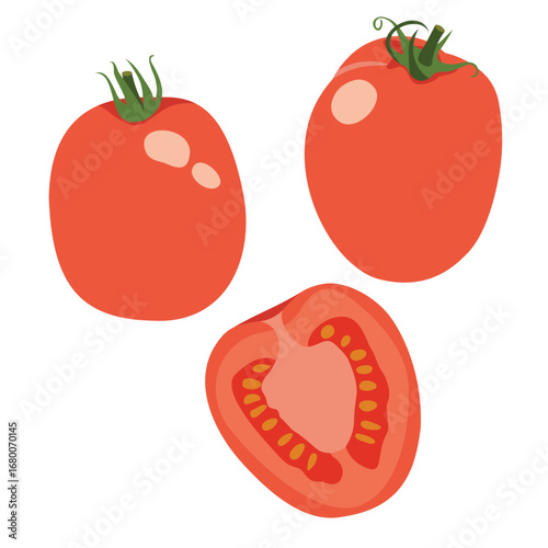 Roma Tomato, Plum Tomato, Hand Drawn, Vector, Illustration, Set, Isolated
