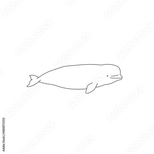 Line Drawing of a Beluga Whale on White Background