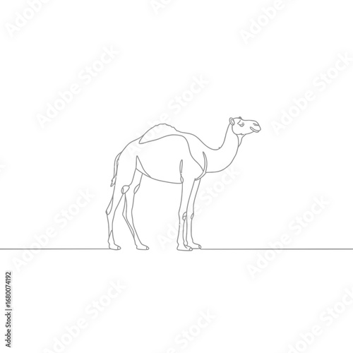 Single Line Drawing of a Dromedary Camel