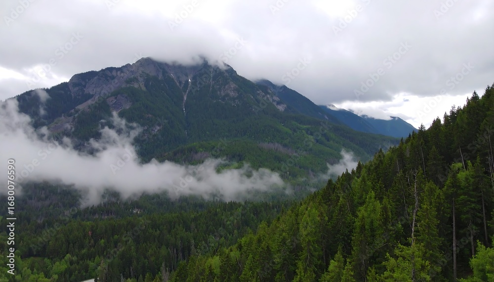 Fototapeta premium Misty mountain vista, lush green valley, dense evergreen forest