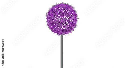 A digital illustration of a single purple allium flower with a spherical head on a long stem, isolated on a white background.