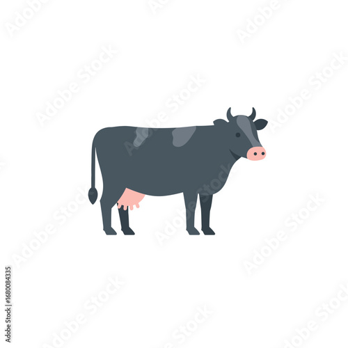 A gray cow stands in profile, with pink udder and nose, against a white background.