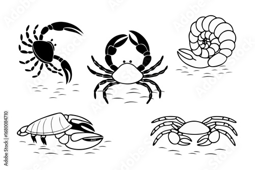 A collection of black and white illustrations featuring various marine crustaceans and a fossilized shell, showcasing their distinct anatomical features in a simple, graphic style