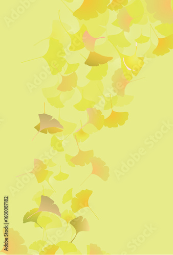 紅葉　イチョウ　秋　背景	
