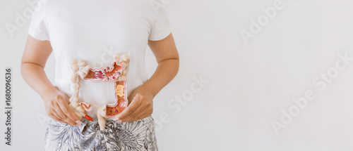 Quadro su tela hands holding intestine anatomy, healthy bowel digestion, probiotic  for healthy