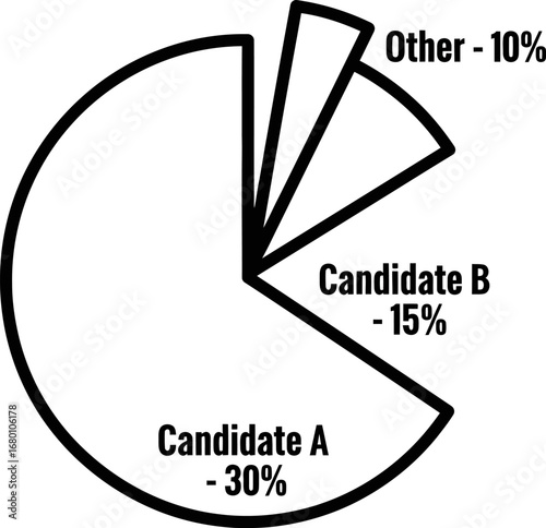 Black and White Pie Chart Illustrating Percentages and Data