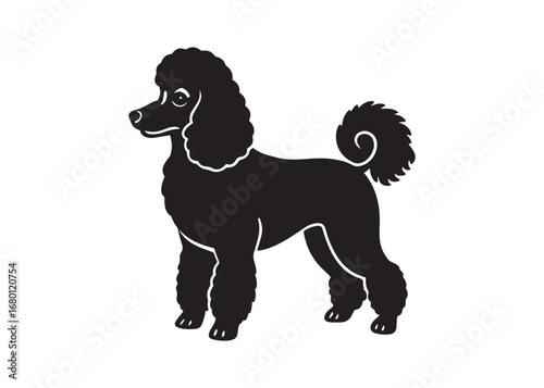 poodle dog silhouette vector illustration isolated on white background for pet and animal design.
