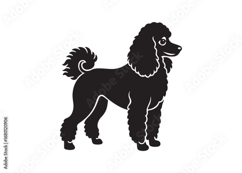 poodle silhouette vector design isolated on white background, pet breed illustration.