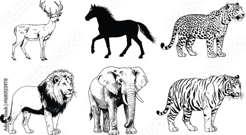 Wild animal vector illustration, lion tiger elephant horse deer leopard artwork, wildlife safari design, nature jungle concept, exotic animals graphic art collection
