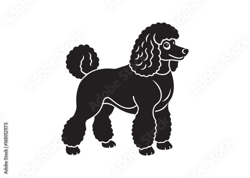 poodle silhouette vector design isolated on white background, pet breed illustration.