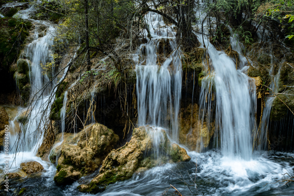 Fototapeta premium waterfall in the forest,Jiuzhaigou