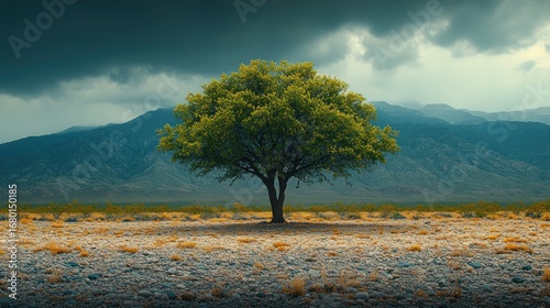 Solitary vibrant green tree standing on a rocky desert floor against a backdrop of majestic blue mountains and a dramatic, cloudy teal sky, symbolizing life and resilience.
