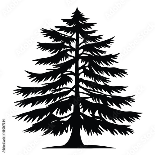 Detailed silhouette illustration of a pine or fir tree against white