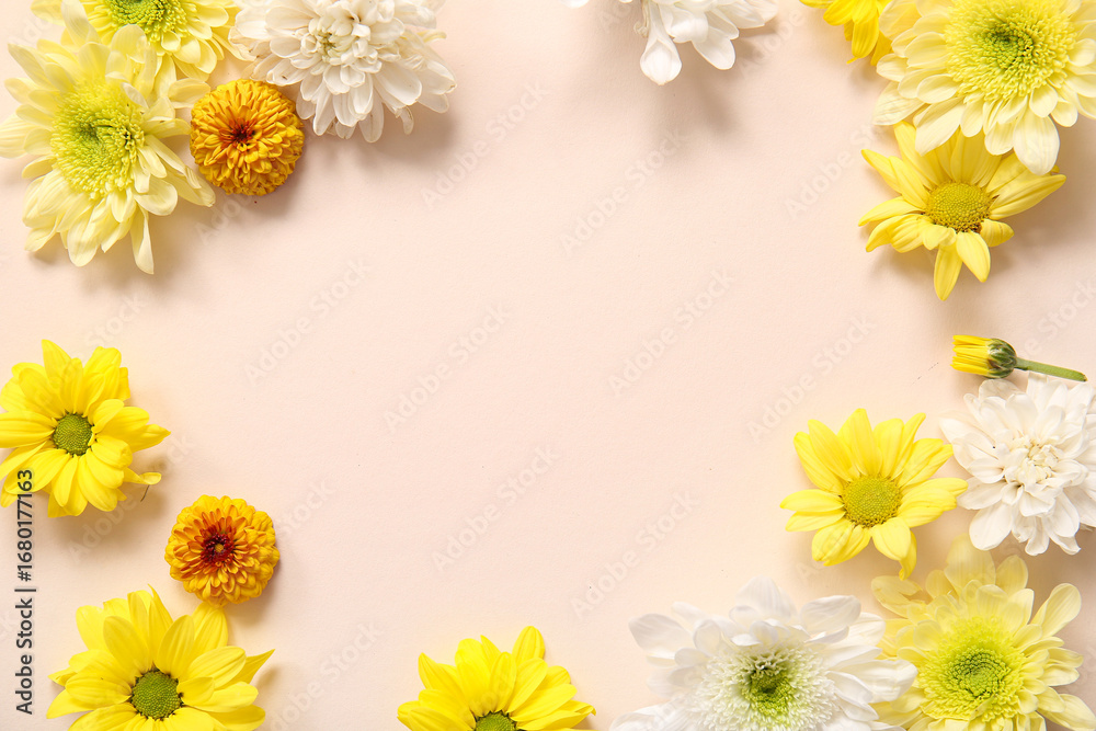 Fototapeta premium Frame made of beautiful chrysanthemum flowers on pink background