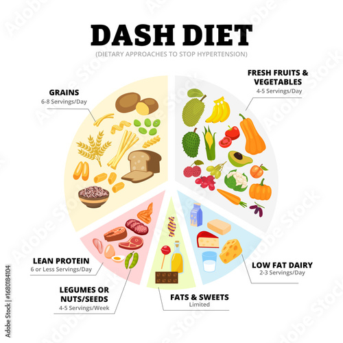 The DASH diet foods diagram poster design as dietary approaches to stop hypertension.Lower blood pressure,food portion amount,pie chart.Grains,fruit,lean protein, legumes, nuts, seeds,fat,sweet,dairy.