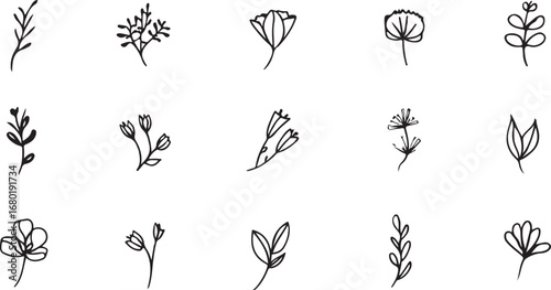 Elegant botanical illustration with diverse flower and leaf designs ideal for creative projects and artistic compositions simple black outlines on white background