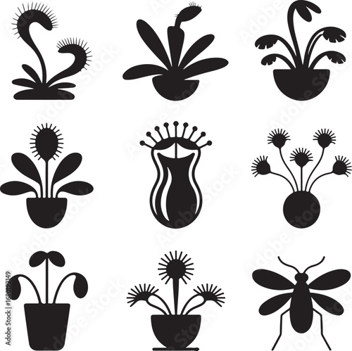 carnivorous, plant, collection, with, different, types, of, insectivorous, and, predatory, flora, vector, illustration