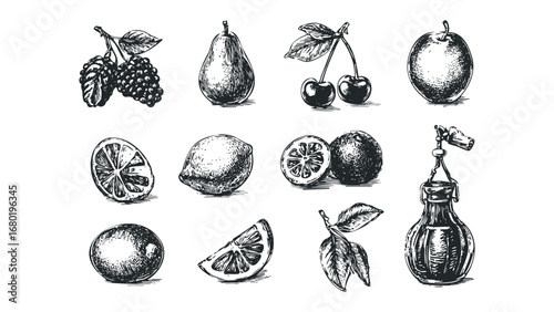 Collection of assorted fruits and beverage bottle sketches. Vector hand drawn illustration