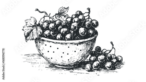 Hand-drawn bunch of ripe grapes in a polka-dot colander with leaves and tendrils. Vector hand drawn illustration