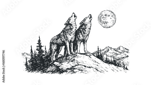 Two wolves howling at the moon on a rocky outcrop with pine trees. Vector hand drawn illustration